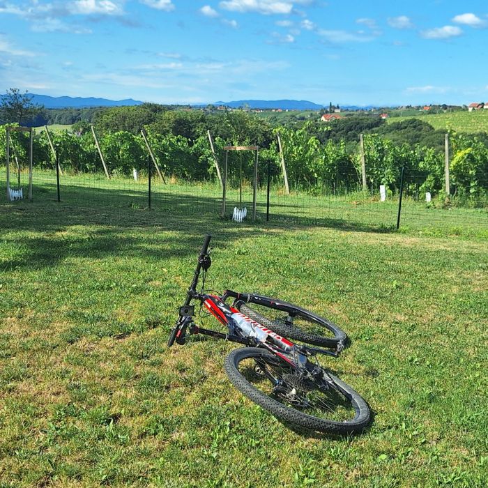 Wine & Water Route